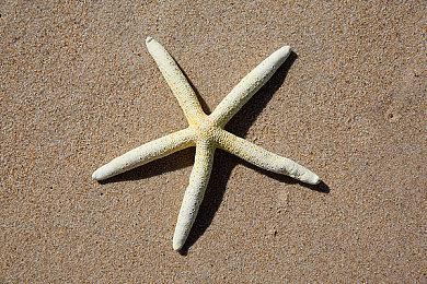 《扑克牌对决》Steam页面上线 支持简体中文